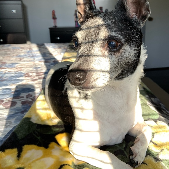 🤓😁😶😮😝🥰🤓🥳🤑😘🤭🥴 - Picture 2 of 2